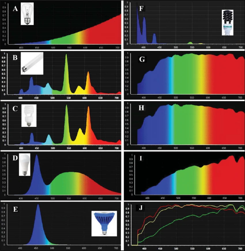Emission-spectra-of-different-light-sources-a-incandescent-tungsten-light-bulb-b.png